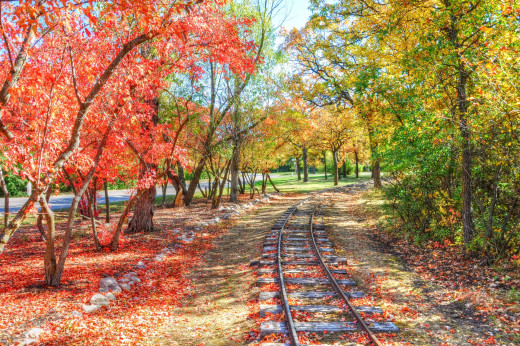 795075 (a): :1920x1275